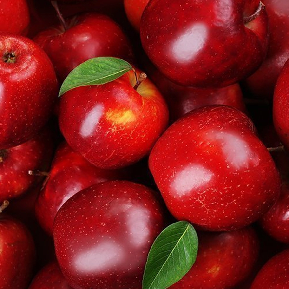 ⁦تفاح مستورد أحمر⁩ - الصورة ⁦1⁩