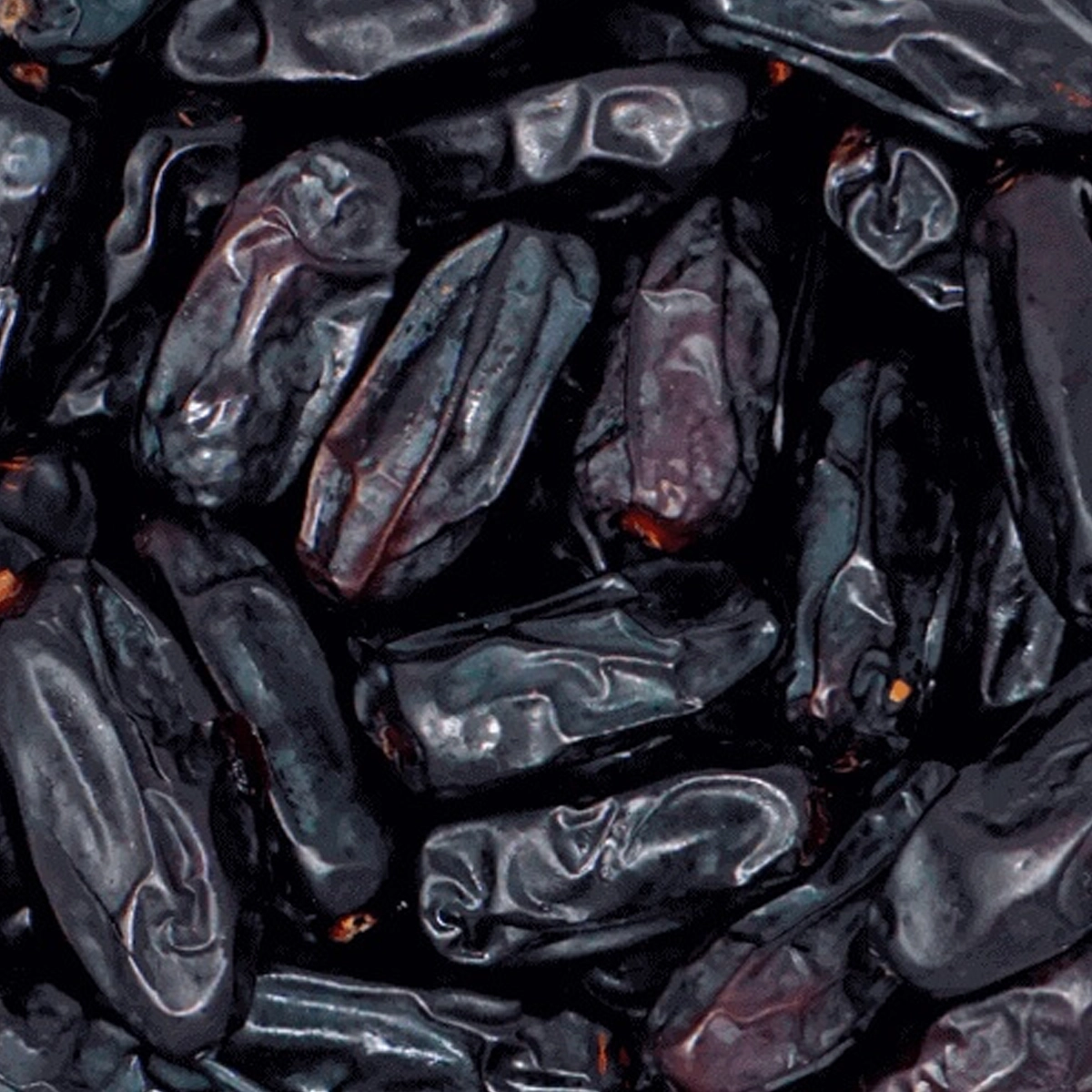 ⁦بلح رطب⁩ - الصورة ⁦1⁩